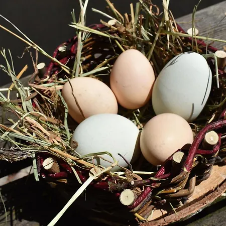 An Der Muehle וורפסוודה